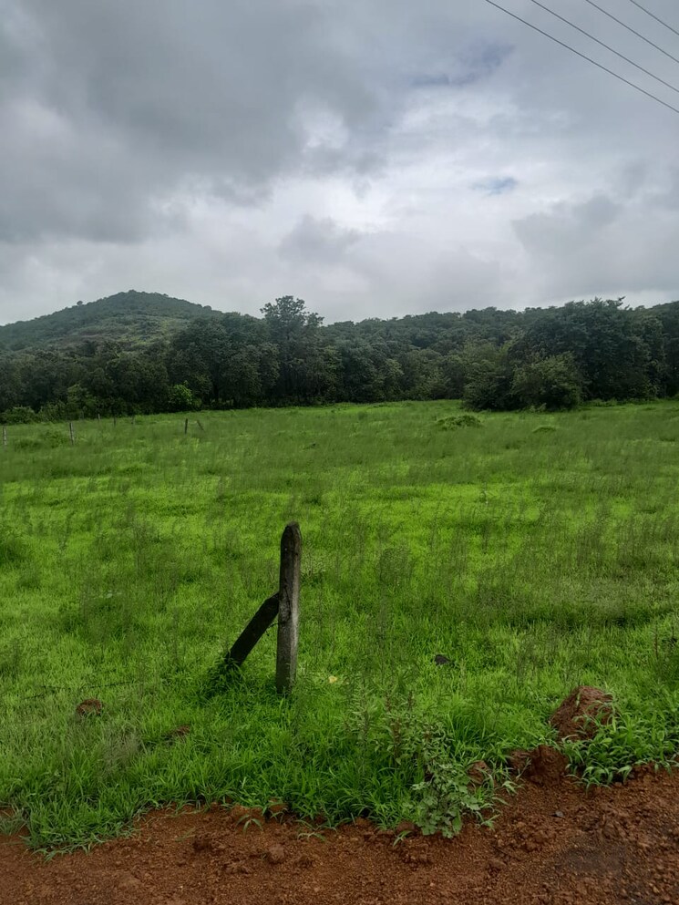 undefined, mandangad  4 Acre Plot In Mandangad Ratnagiri 8977978