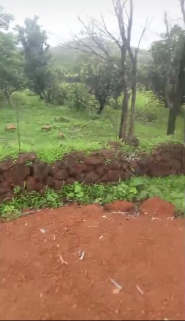 Plot Area in  Plot at Mandangad – for Sale