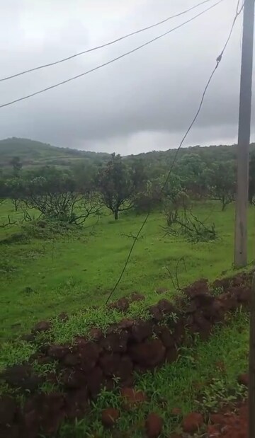 Plot Area in  Plot at Mandangad – for Sale