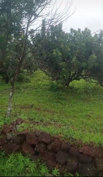  Plot For Sale in Mandangad