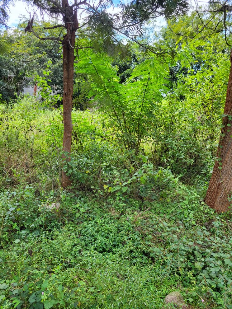 undefined, doddagubbi  3060 Sq.Ft. Plot In Doddagubbi Bangalore 8978162