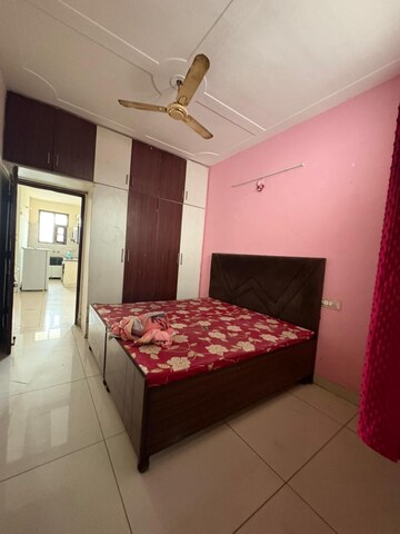 3 BHK Builder Floor For Rent in Dhakoli