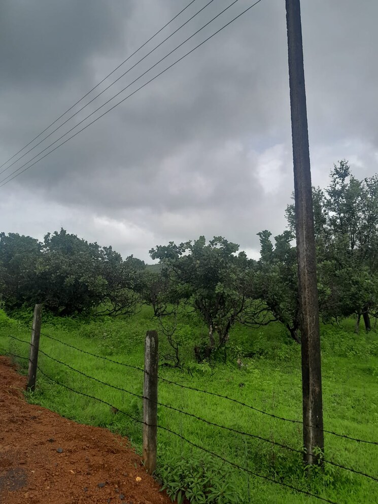 Garden, mandangad  1 Acre Plot In Mandangad Ratnagiri 8978329