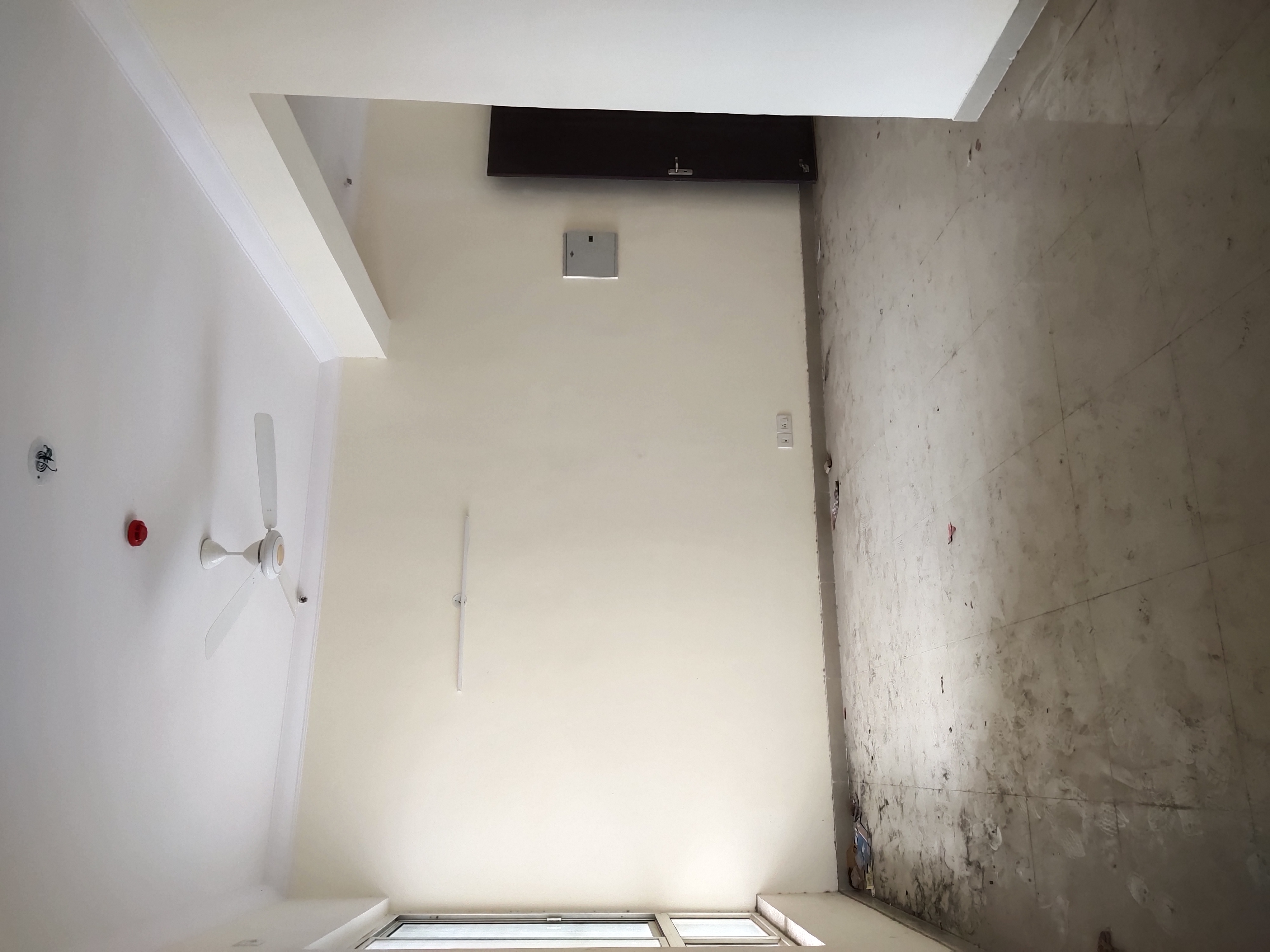 3 BHK Apartment For Rent in Assotech Windsor Court