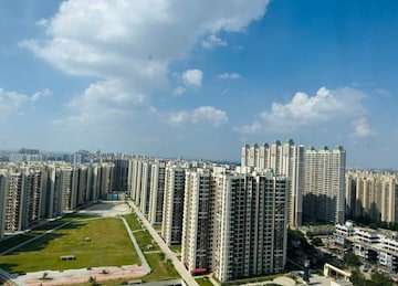 2 BHK Apartment For Rent in Amrapali Golf Homes, Sector 4 Greater Noida