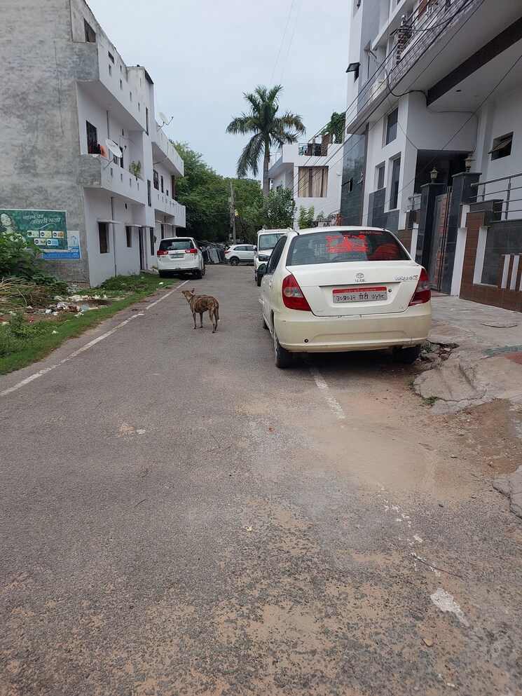 Exterior View, indira nagar Commercial Office Space 2000 Sq.Ft. In Indira Nagar Lucknow 8978751