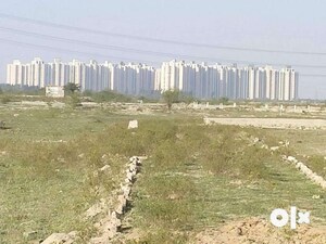 Plot Area in  Plot at Sector 148 – for Sale