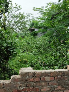 Plot For Sale in Kalyanpur East