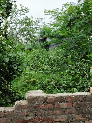  Plot For Sale in Kalyanpur East