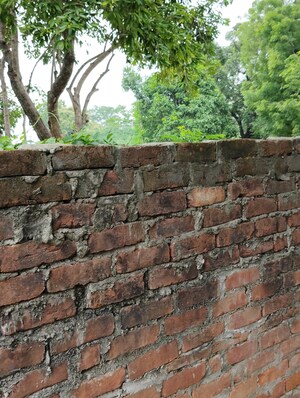 Plot Area in  Plot at Kalyanpur East – for Sale