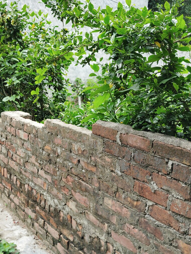 undefined, kalyanpur east  1500 Sq.Yd. Plot In Kalyanpur East Lucknow 8979248