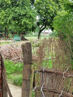 1220 Sq.Yd. Plot in Ram Property