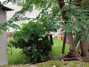  Plot – Garden View at Kalyanpur - for Sale