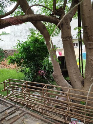  Plot – Exterior View View at Kalyanpur - for Sale