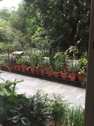 Balcony in 2.5 BHK Builder Floor at Hauz Khas – for Rent