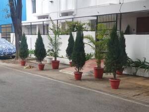  Plot – Exterior View View at Great Value Anandam, Sector 107 - for Sale