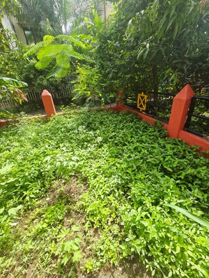 3 BHK Independent House – Garden View at Virar East - for Sale