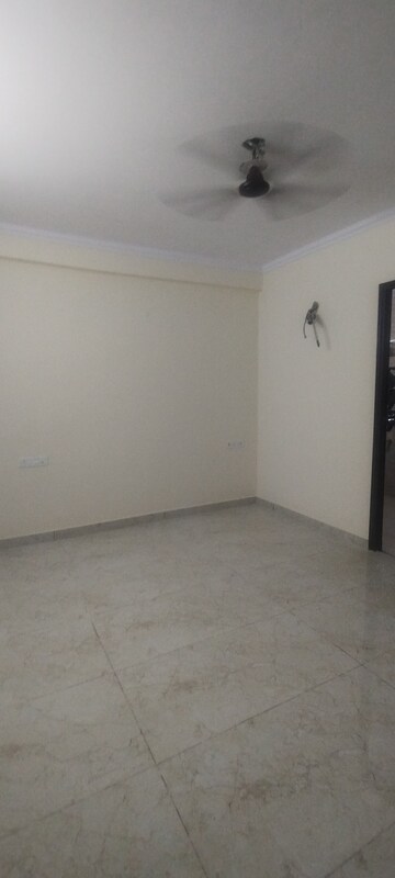 3 BHK Builder Floor For Rent in RWA Apartments Sector 19, Sector 19