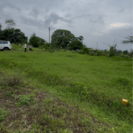 268 Sq.Yd. Plot in Mane Nagar