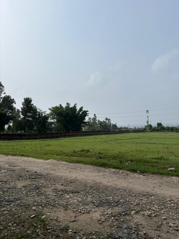 Plot Area in  Plot at Sherpur – for Sale