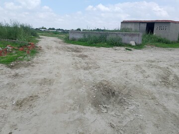 Plot Area in  Plot at Sector 141 – for Sale