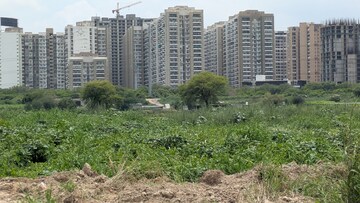  Plot – Exterior View View at Sector 141 - for Sale