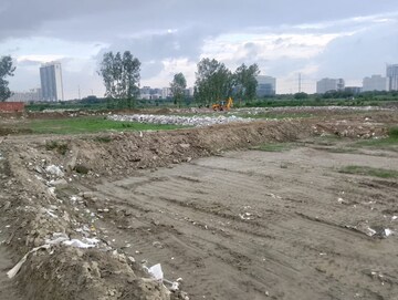 Plot Area in  Plot at Sector 141 – for Sale