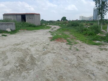 Plot Area in  Plot at Sector 141 – for Sale