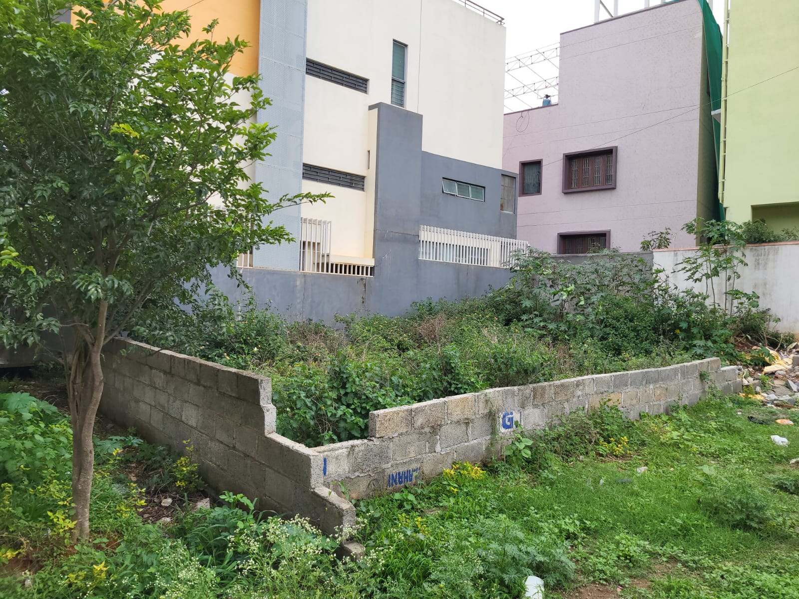 Plot For Sale in MCECHS Layout