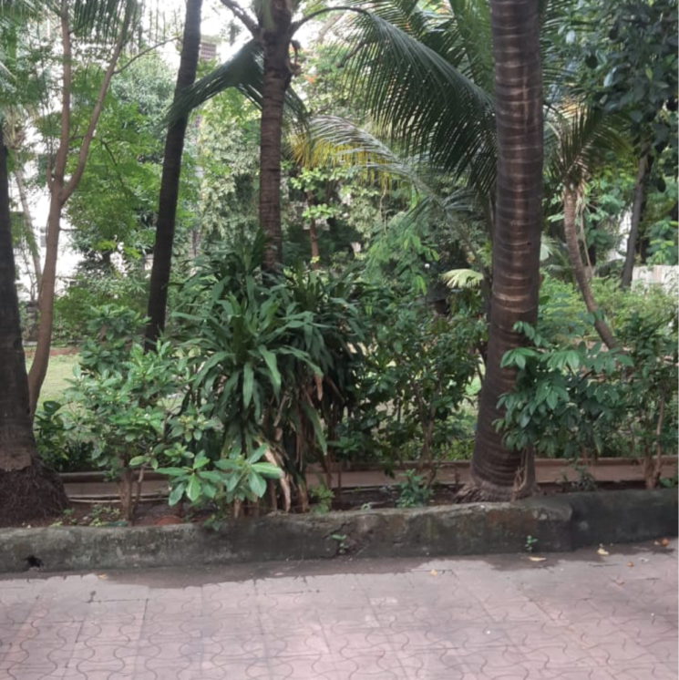Garden, juhu 4 Bedroom 1580 Sq.Ft. Apartment In Juhu Mumbai 8979598