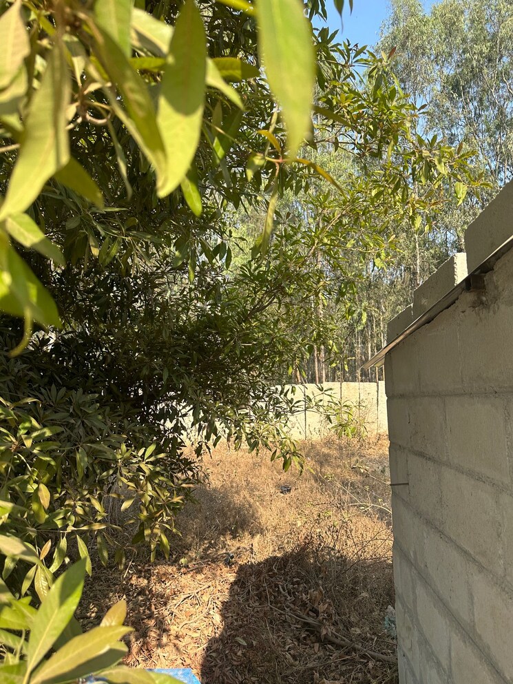 Garden, kannur  1345 Sq.Ft. Plot In Kannur Bangalore 8979619