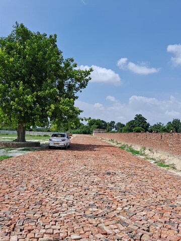 Plot Area in  Plot at Raebareli Road – for Sale