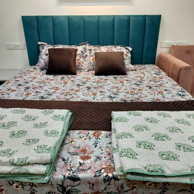 Living Room, okay-plus-solitaire-suites 1 RK 403 Sq.Ft. Apartment In Ramnagariya Jaipur 8980137