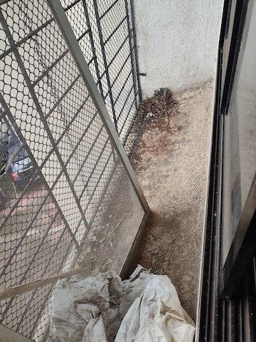 Balcony in 2 BHK Apartment at Regal Enclave Vasai East, Vasai East – for Rent