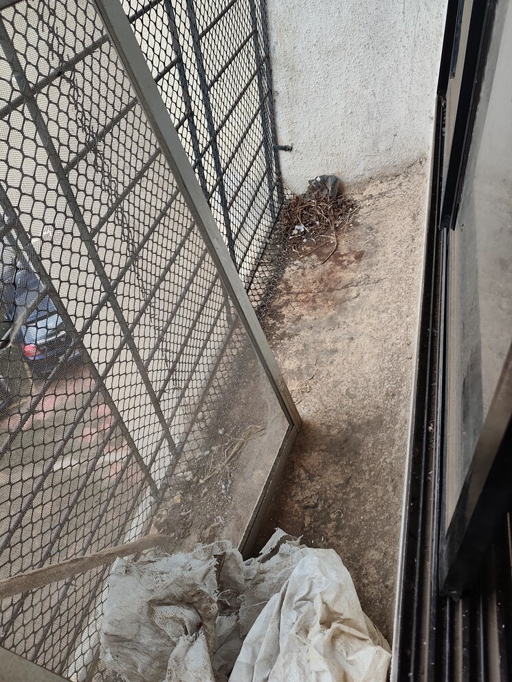 Balcony, regal-enclave-vasai-east 2 Bedroom 900 Sq.Ft. Apartment In Vasai East Palghar 8980172