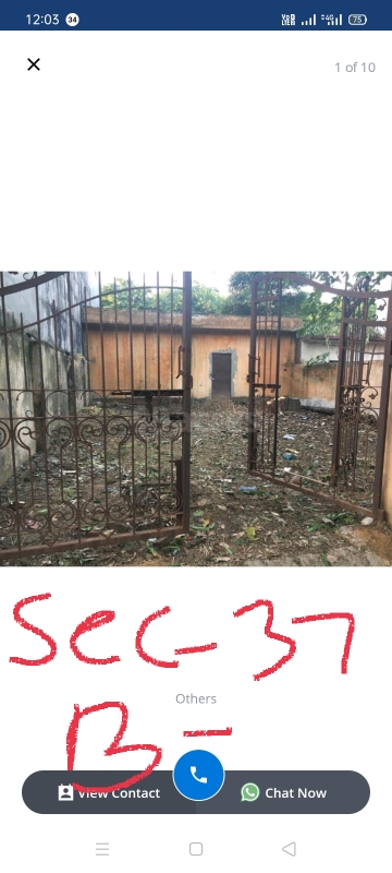 Plot For Sale in Sigma II Greater Noida