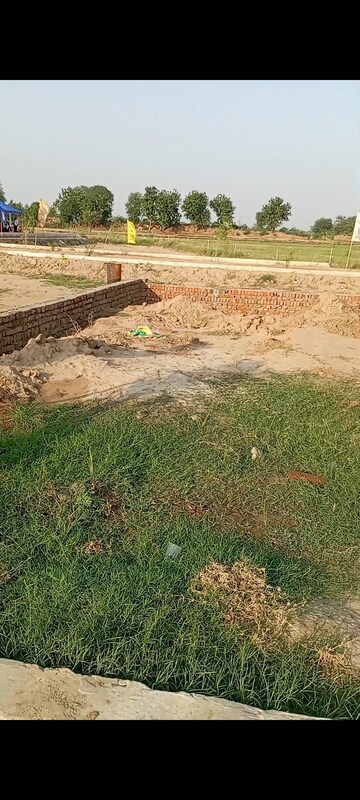 Plot Area in  Plot at Tappal – for Sale