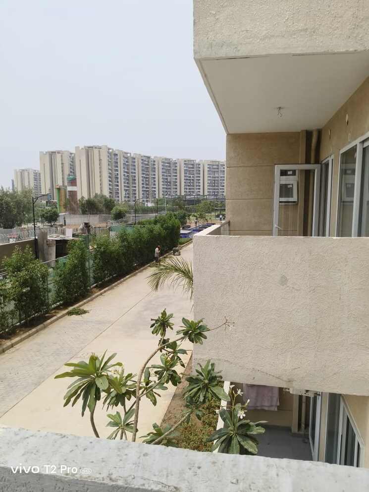 Balcony, tulip-yellow 3 Bedroom 1704 Sq.Ft. Apartment In Sector 69 Gurgaon 8980422