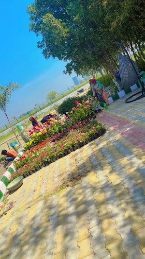 3 BHK Villa For Sale in Tech Zone 4 Greater Noida