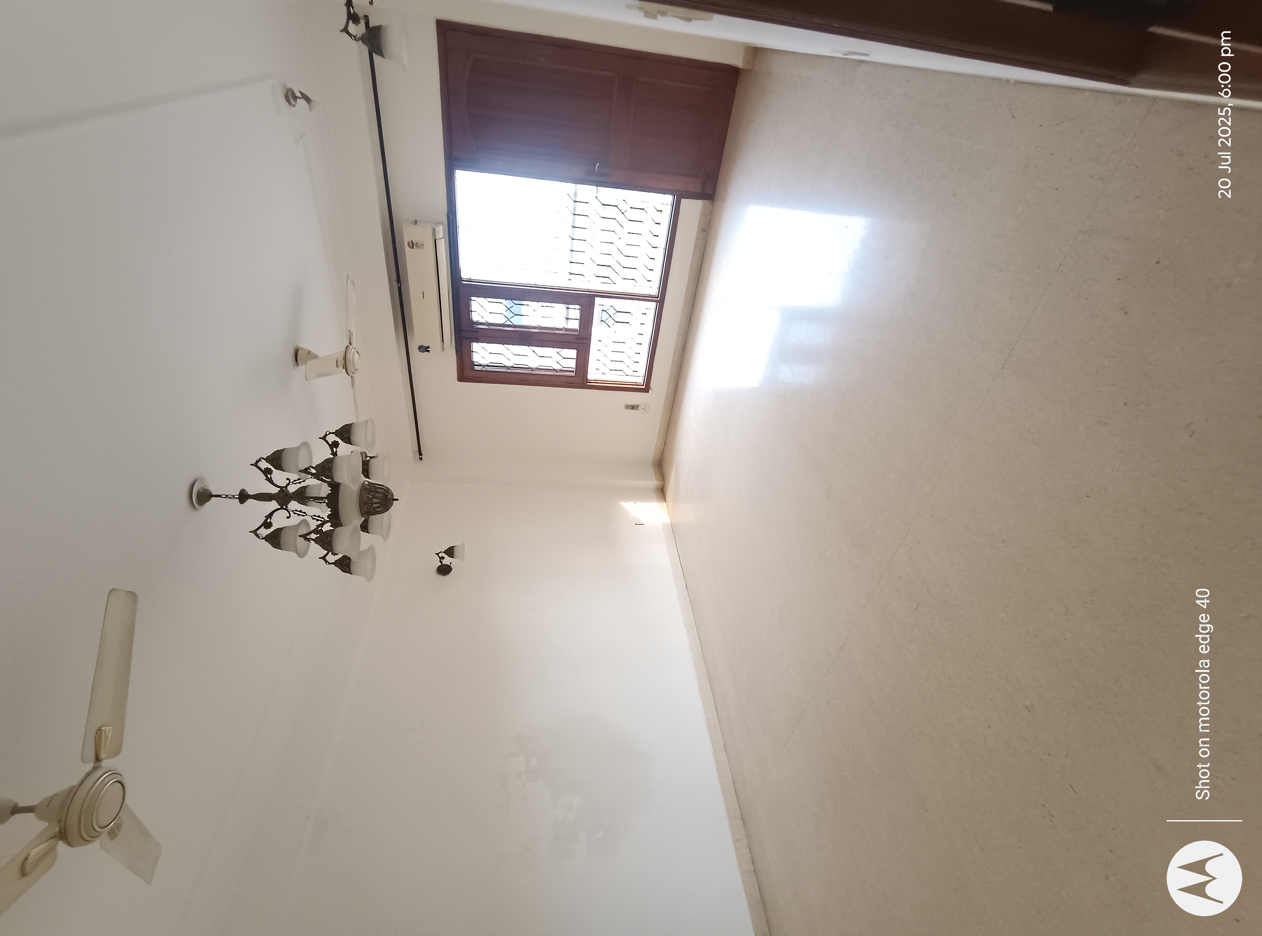 4 BHK + Pooja Room,Study Room,Extra Room Builder Floor For Sale in Malviya Nagar 