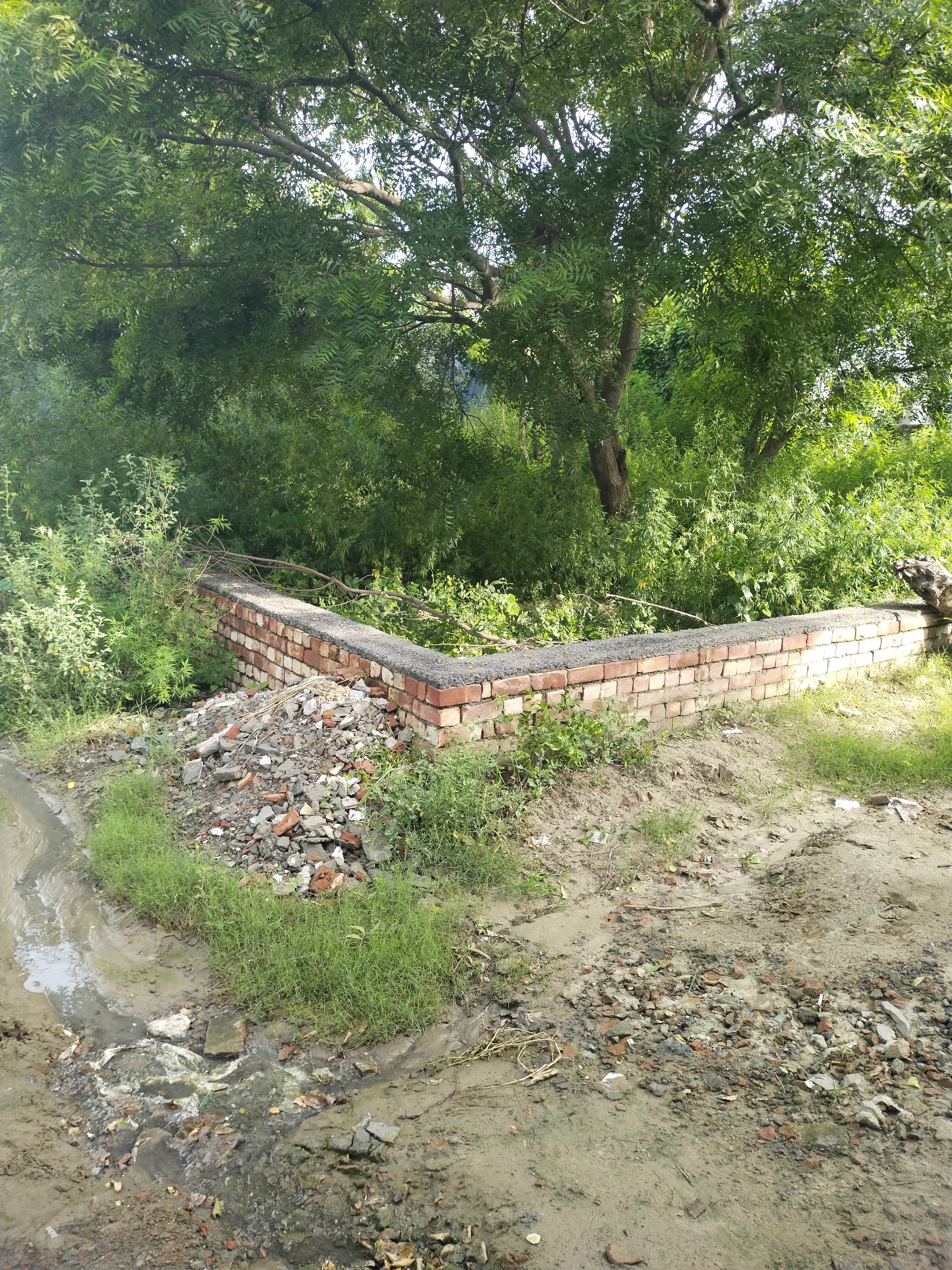 Plot For Sale in Shree Shyam Property Soni