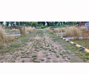 Plot Area in  Plot at Padrauna – for Sale