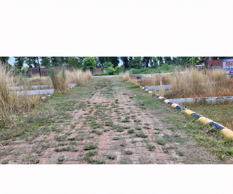 undefined, padrauna  1200 Sq.Ft. Plot In Padrauna Kushinagar 8980864