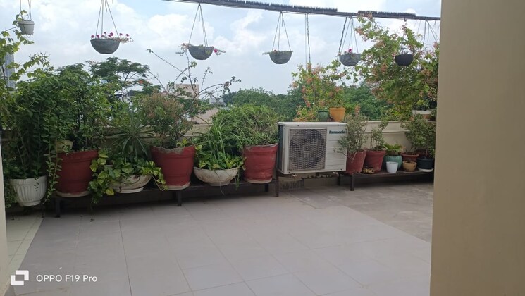 Garden, arun-vihar-sector-37 1 RK 400 Sq.Ft. Apartment In Sector 37 Noida 8980962