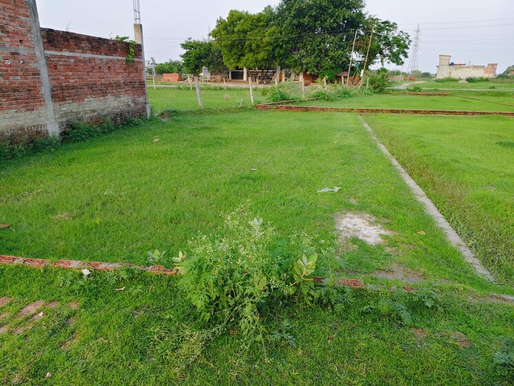 Garden, jankipuram extension  1200 Sq.Ft. Plot In Jankipuram Extension Lucknow 8981067
