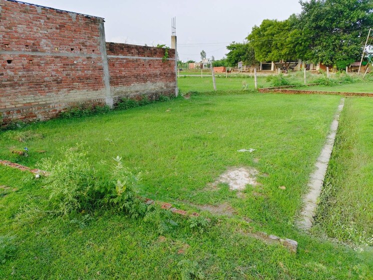 Garden, jankipuram extension  1200 Sq.Ft. Plot In Jankipuram Extension Lucknow 8981067