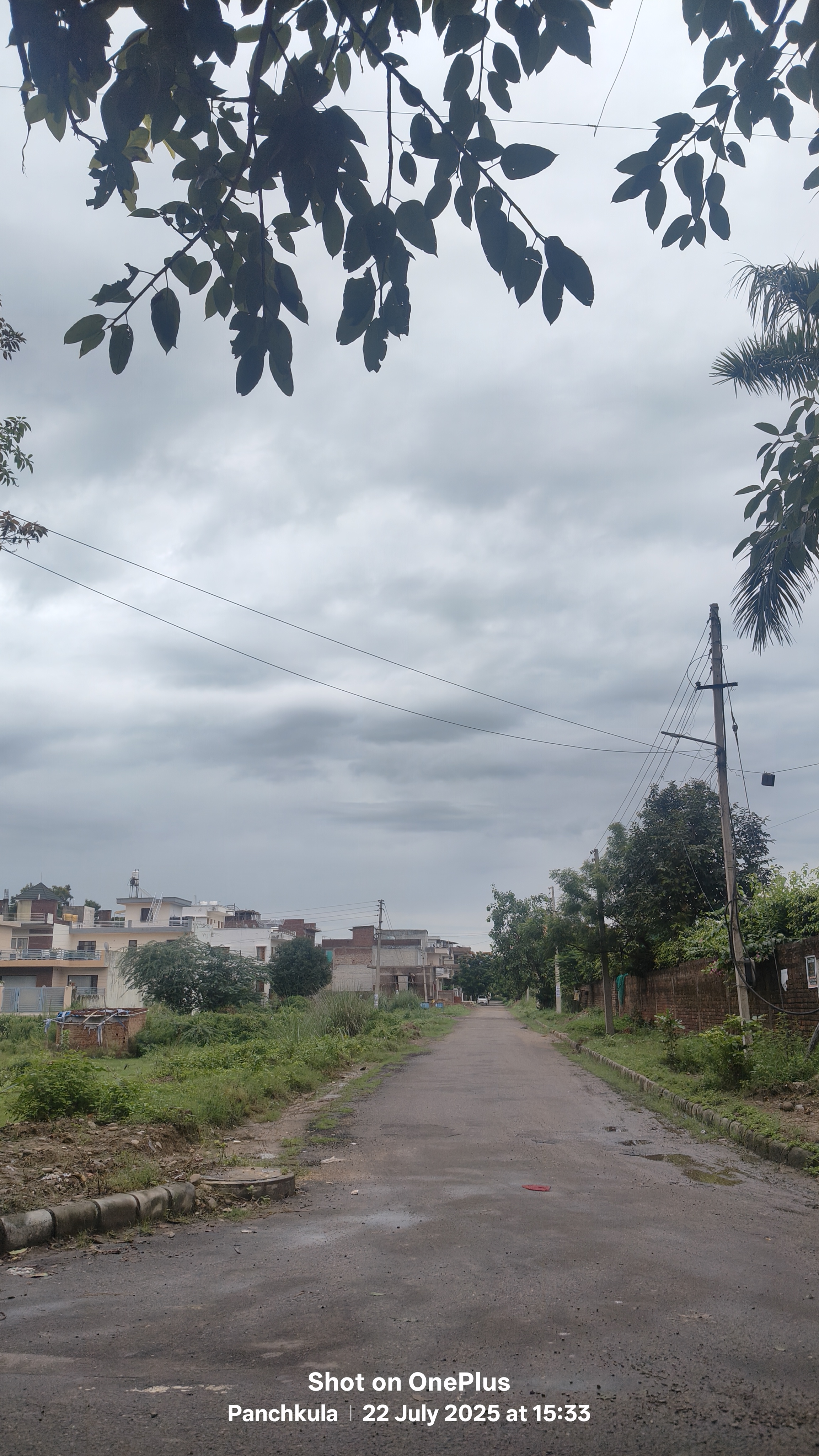 Plot For Sale in D R Estate 