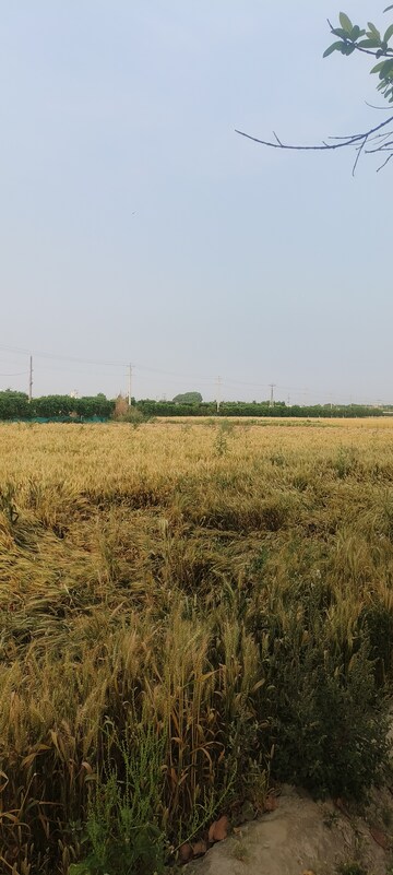 Plot Area in  Plot at North Delhi – for Sale