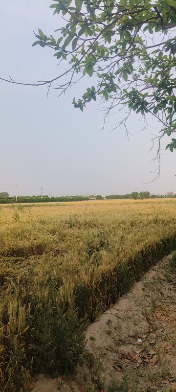 Plot Area in  Plot at North Delhi – for Sale