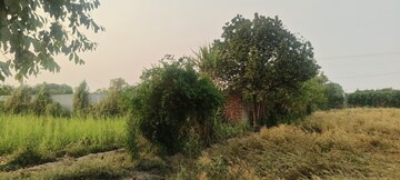  Plot For Sale in North Delhi